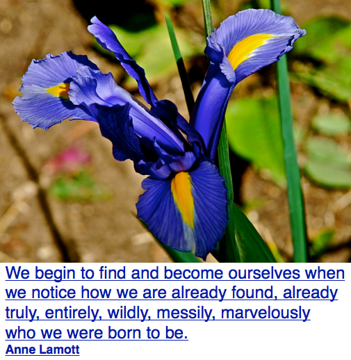 Screen Shot 2018-10-03 at 10.35.06 PM.png