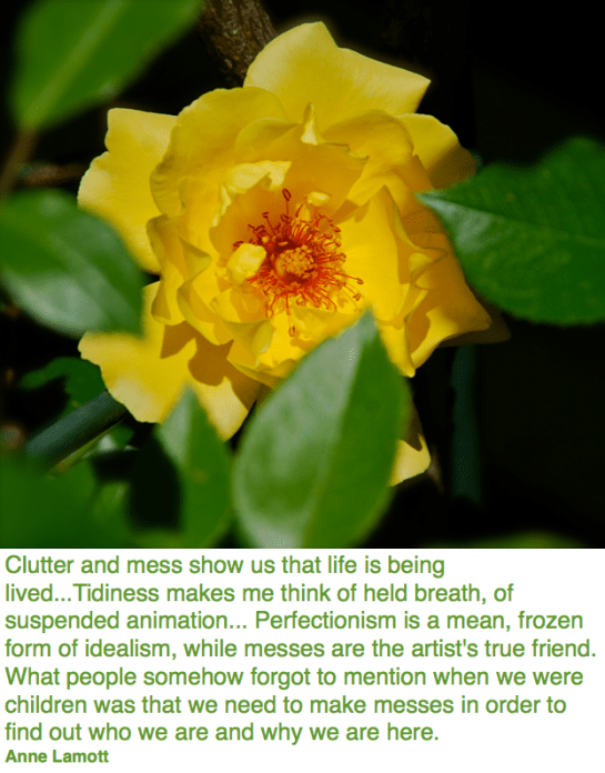 Screen Shot 2018-10-03 at 10.44.58 PM.png