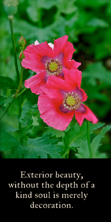 Screen Shot 2018-10-04 at 11.00.57 PM.png