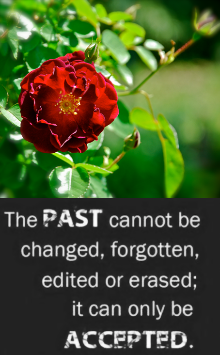 Screen Shot 2018-10-04 at 11.02.11 PM.png