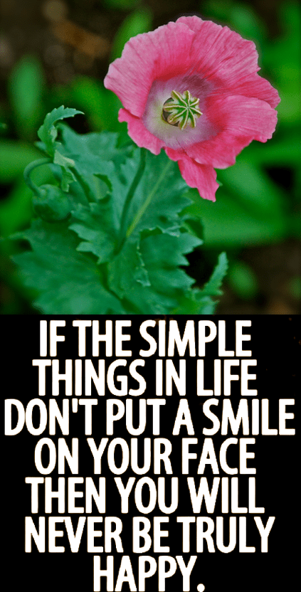 Screen Shot 2018-10-04 at 11.03.13 PM.png