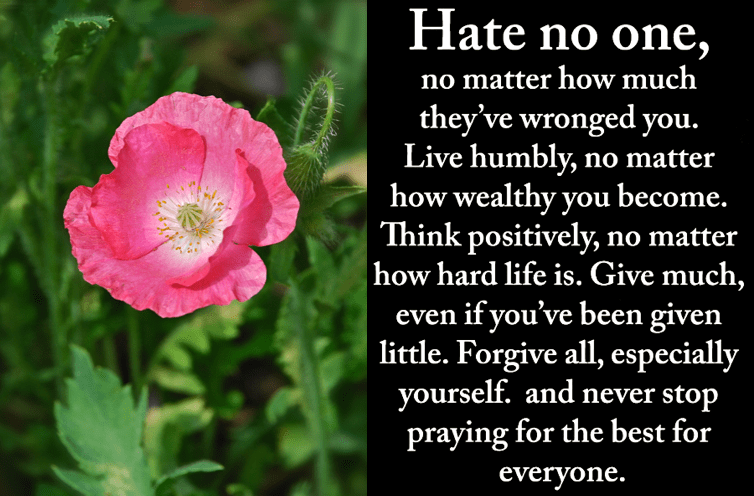 Screen Shot 2018-10-04 at 11.05.21 PM.png