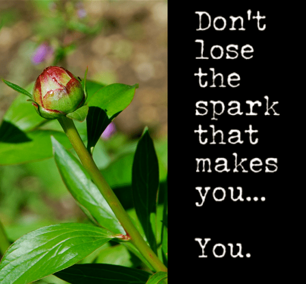 Screen Shot 2018-10-04 at 11.07.46 PM.png