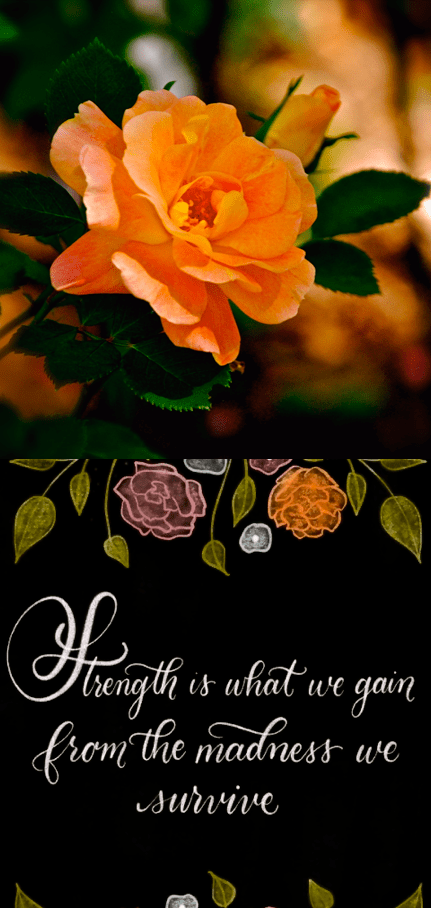 Screen Shot 2018-10-04 at 11.10.53 PM.png