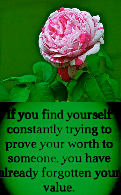 Screen Shot 2018-10-04 at 11.14.34 PM.png