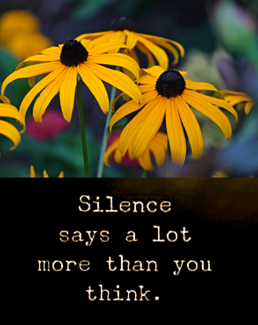 Screen Shot 2018-10-06 at 10.33.40 PM.png