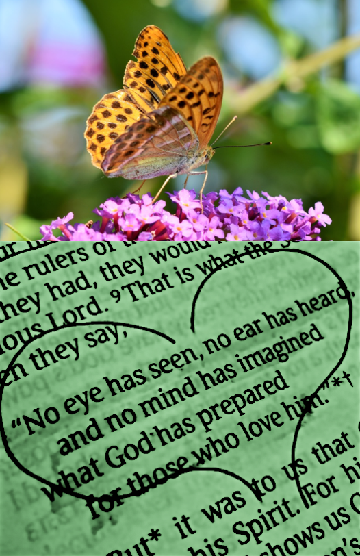 Screen Shot 2018-10-06 at 10.36.30 PM.png