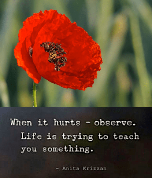 Screen Shot 2018-10-06 at 10.45.33 PM.png