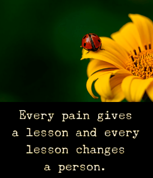 Screen Shot 2018-10-06 at 10.46.37 PM.png