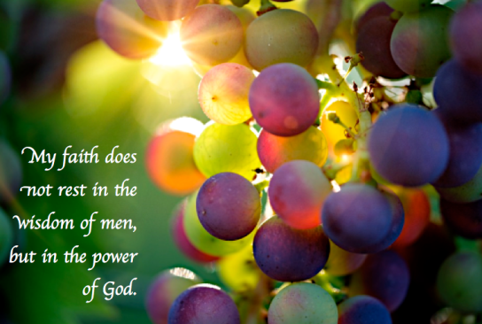 Screen Shot 2018-10-10 at 9.39.57 PM.png