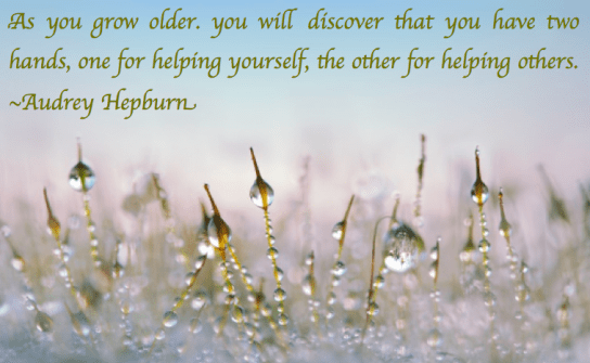 Screen Shot 2018-10-10 at 9.44.07 PM.png