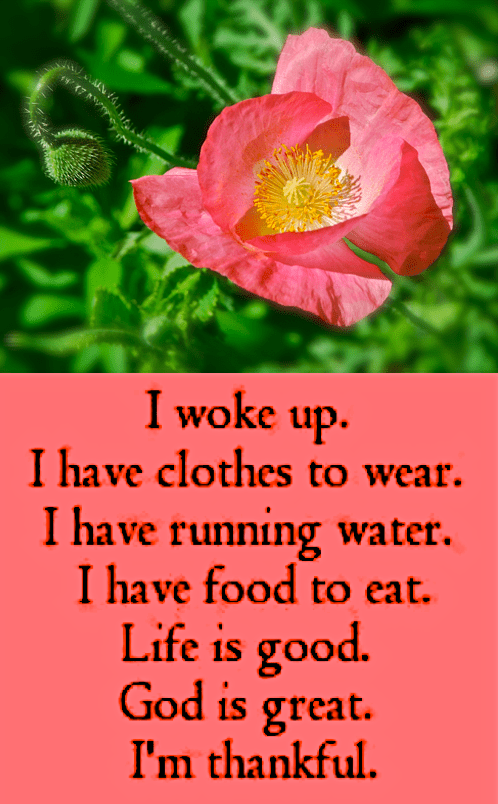 Screen Shot 2018-10-10 at 9.48.33 PM.png