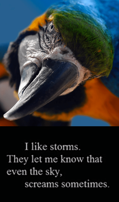 Screen Shot 2018-10-12 at 10.03.06 PM.png