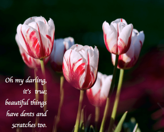 Screen Shot 2018-10-12 at 10.11.43 PM.png