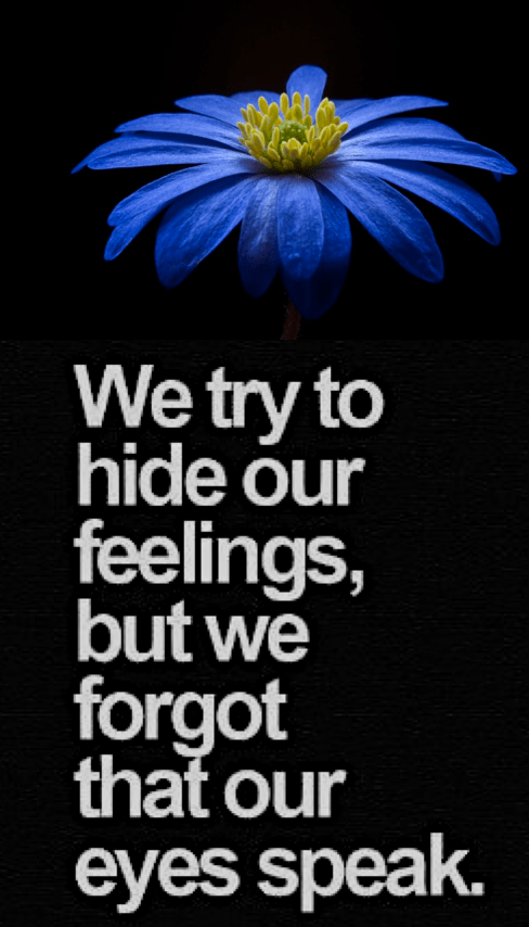 Screen Shot 2018-10-12 at 10.13.25 PM.png