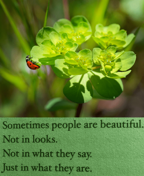 Screen Shot 2018-10-12 at 10.14.37 PM.png