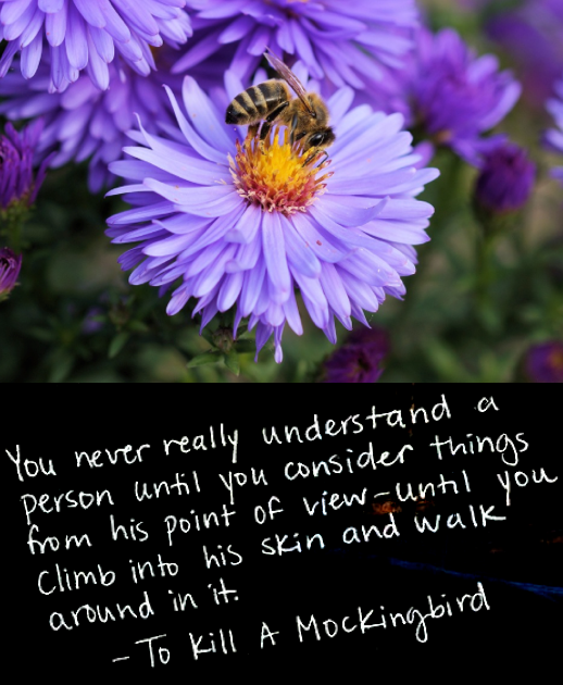 Screen Shot 2018-10-12 at 10.16.23 PM.png