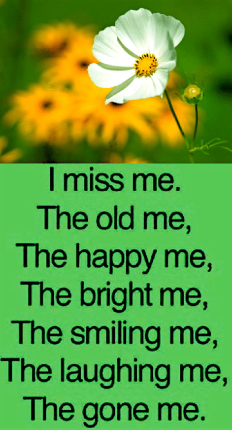 Screen Shot 2018-10-12 at 10.19.55 PM.png