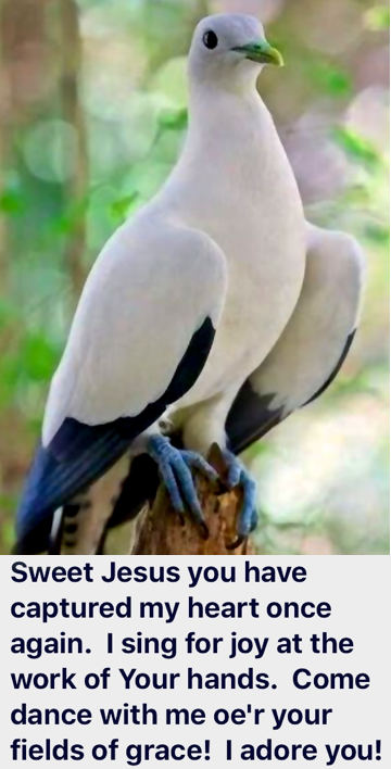 Screen Shot 2018-10-14 at 9.23.11 PM.png