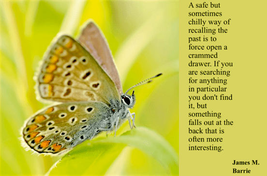 Screen Shot 2018-10-14 at 9.27.29 PM.png