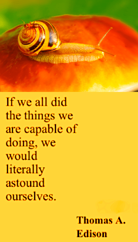 Screen Shot 2018-10-14 at 9.39.37 PM.png