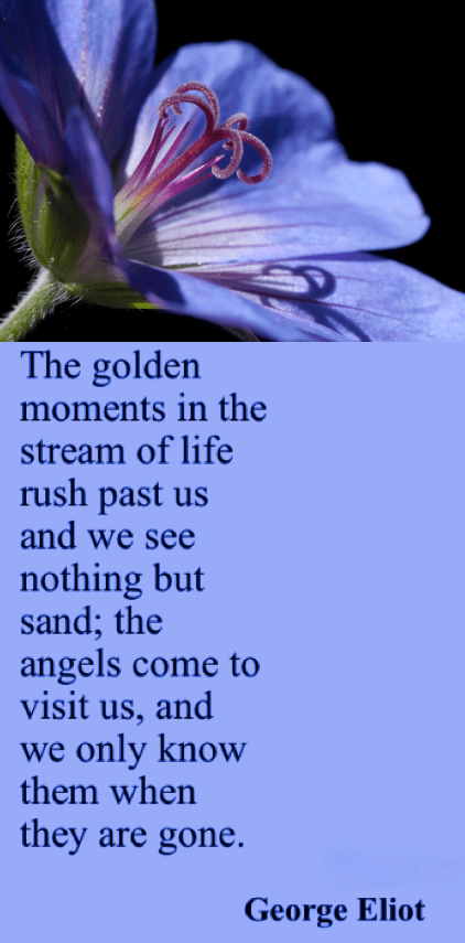 Screen Shot 2018-10-14 at 9.43.05 PM.png