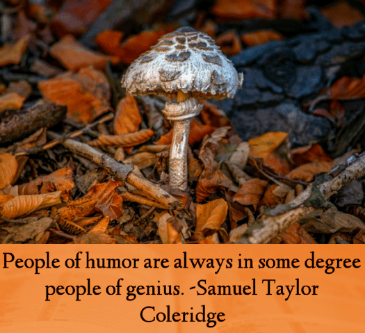 Screen Shot 2018-10-26 at 8.26.20 PM.png