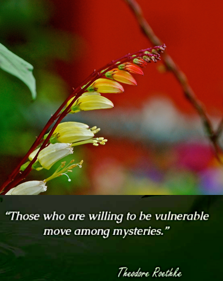 Screen Shot 2018-10-30 at 6.33.20 PM.png