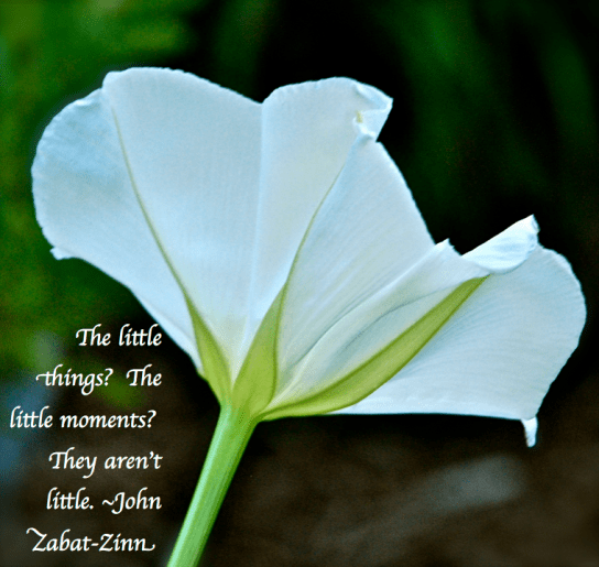 Screen Shot 2018-10-30 at 6.37.26 PM.png