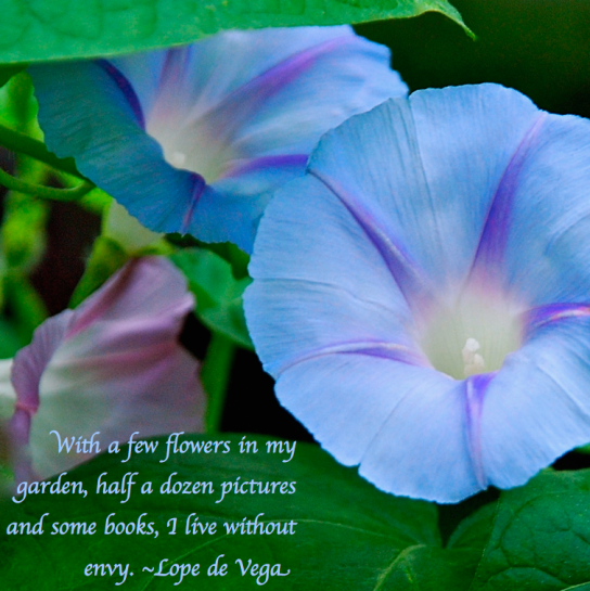 Screen Shot 2018-10-30 at 6.40.35 PM.png