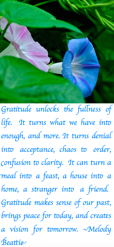 Screen Shot 2018-10-30 at 6.44.04 PM.png