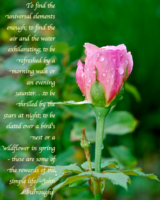 Screen Shot 2018-10-30 at 6.48.42 PM.png