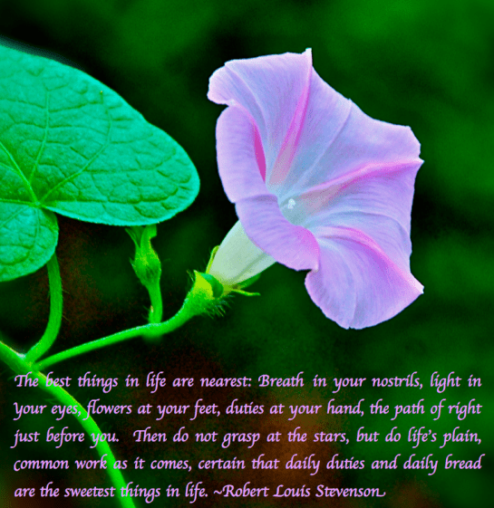 Screen Shot 2018-10-30 at 6.52.05 PM.png