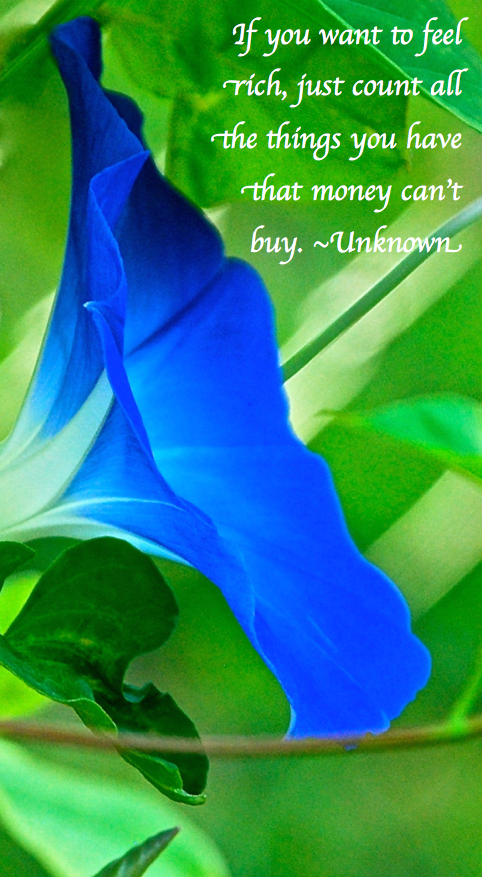 Screen Shot 2018-10-30 at 6.55.53 PM.png