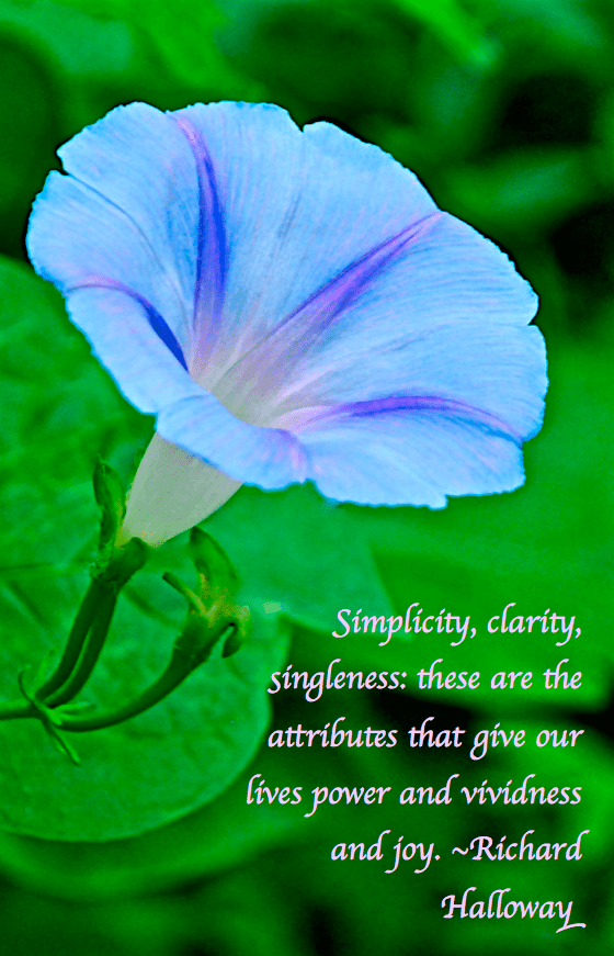 Screen Shot 2018-10-30 at 6.58.49 PM.png