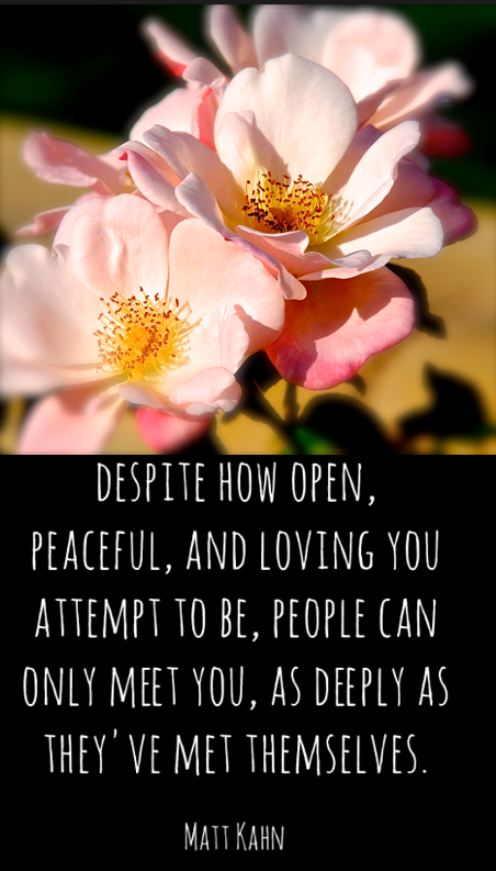 Screen Shot 2018-11-01 at 10.07.11 PM.png