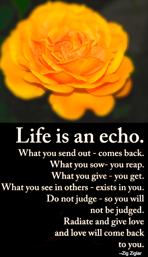 Screen Shot 2018-11-01 at 10.10.51 PM.png