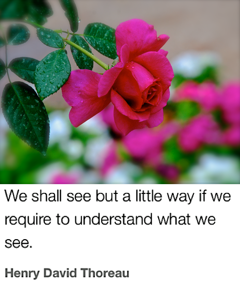 Screen Shot 2018-11-01 at 10.15.21 PM.png