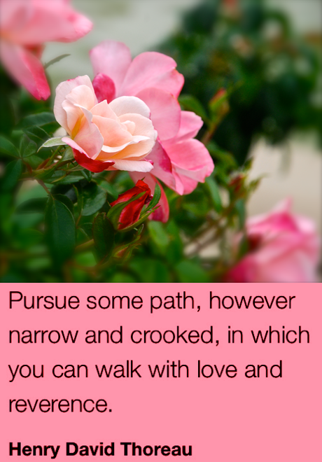 Screen Shot 2018-11-01 at 10.22.07 PM.png