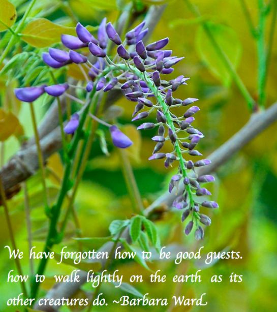 Screen Shot 2018-11-03 at 8.58.49 PM.png