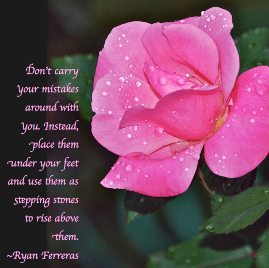 Screen Shot 2018-11-03 at 9.03.56 PM.png