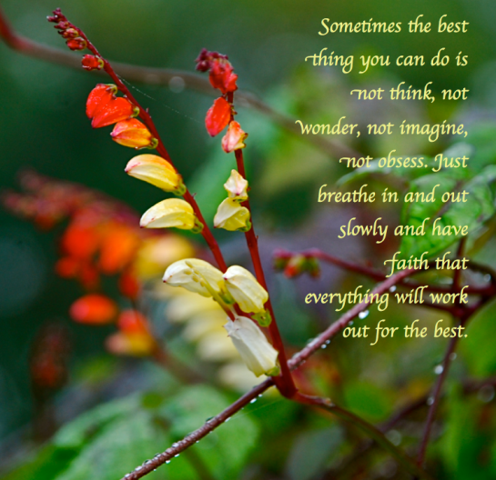 Screen Shot 2018-11-03 at 9.08.18 PM.png