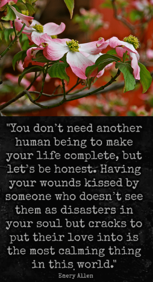 Screen Shot 2018-11-05 at 9.11.58 PM.png