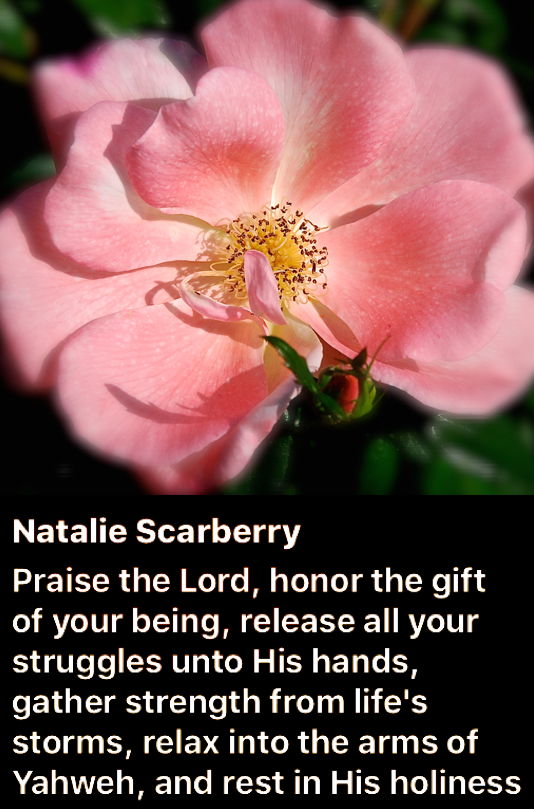 Screen Shot 2018-11-05 at 9.16.53 PM.png