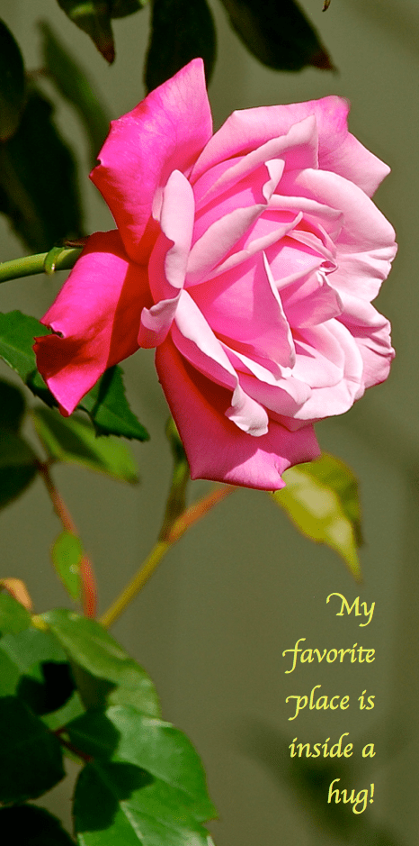 Screen Shot 2018-11-05 at 9.21.56 PM.png