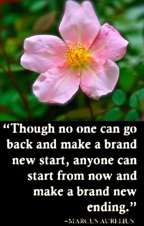 Screen Shot 2018-11-05 at 9.23.56 PM.png