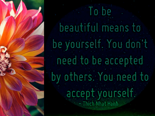 Screen Shot 2018-11-05 at 9.30.12 PM.png