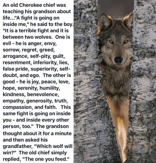 Screen Shot 2018-11-08 at 8.48.55 PM.png