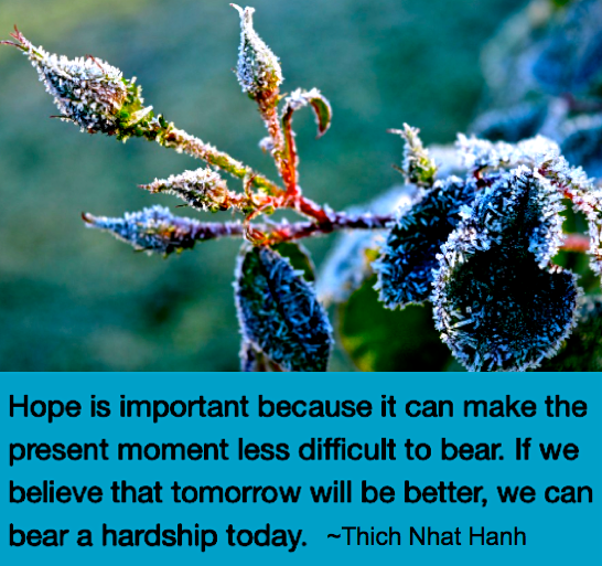 Screen Shot 2018-11-09 at 10.38.45 PM.png