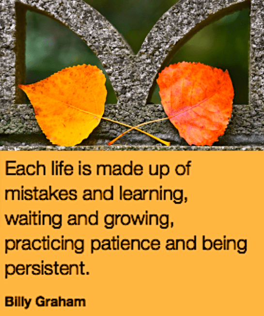 Screen Shot 2018-11-09 at 10.42.22 PM.png